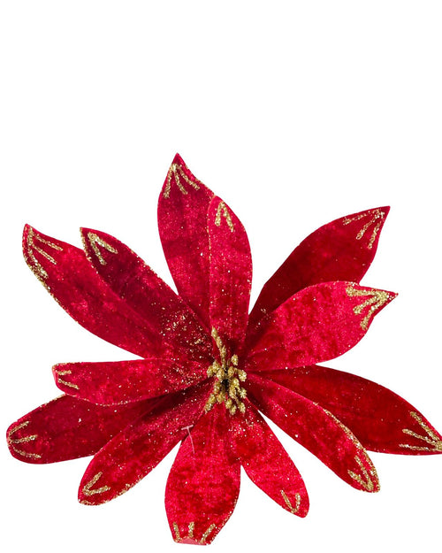 posetia roja petalos velvet 30 dm