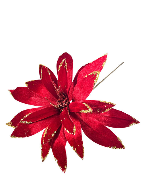 Ponsetia de navidad en gamuza color burgundy spider de 40 de diámetro