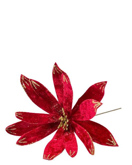 posetia roja petalos velvet 30 dm