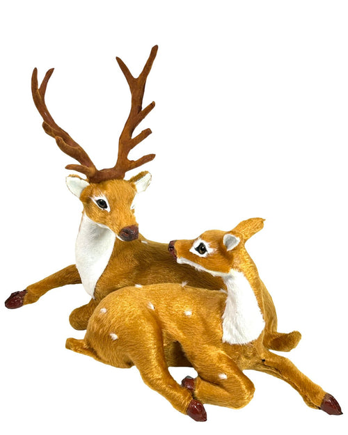 reno pareja pelillo x2 fino 25x30 cm