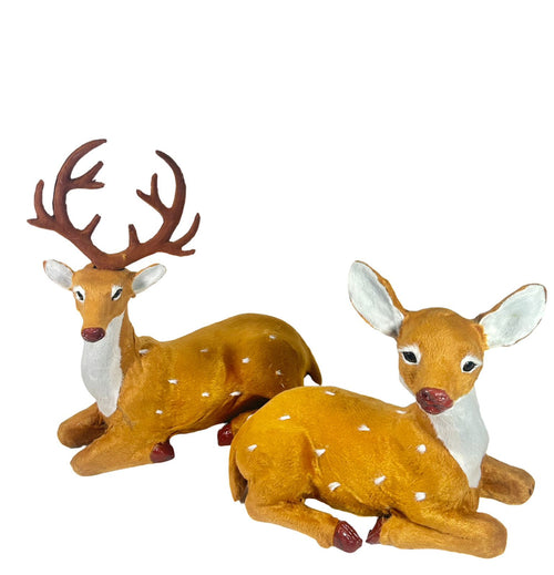 set x2  reno pelillo 30 cm