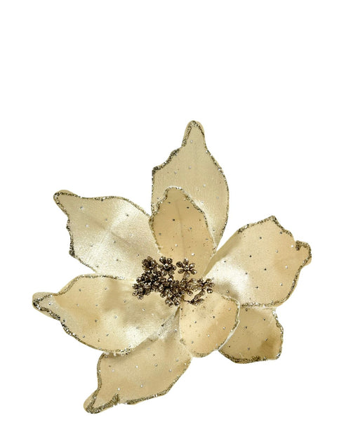 ponsetia beige velvet chispas 27 dm