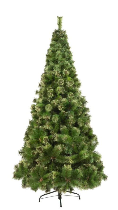 Arbol pino napoles pompon