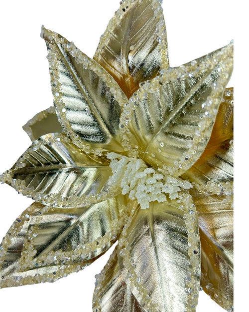 Ponsetia de navidad dorada / champaña con Mirella de 30 de diámetro