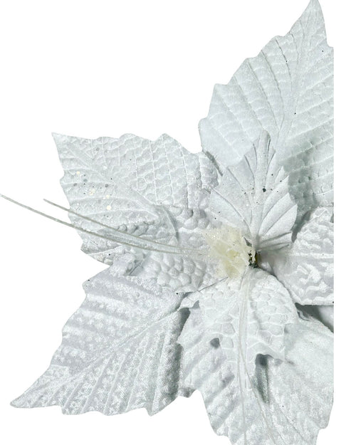 ponsetia grandeblanco velvet fina  35 dm