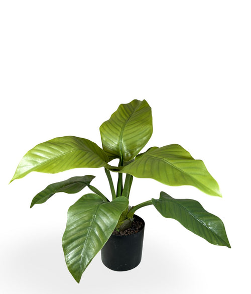planta hoja de banana  50x30 cm