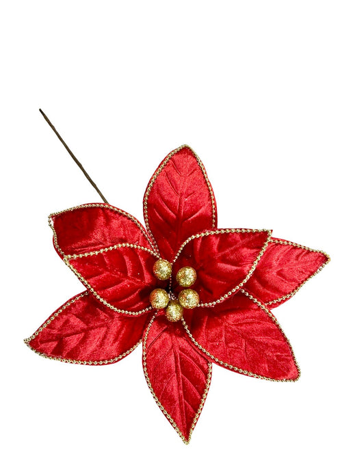 ponsetia roja velvet  con dorado 28dm