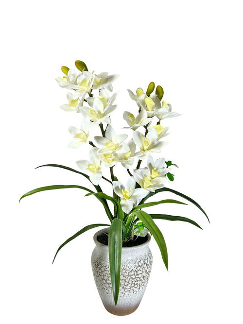 Mata mediana de orquídeas Garden 58cm