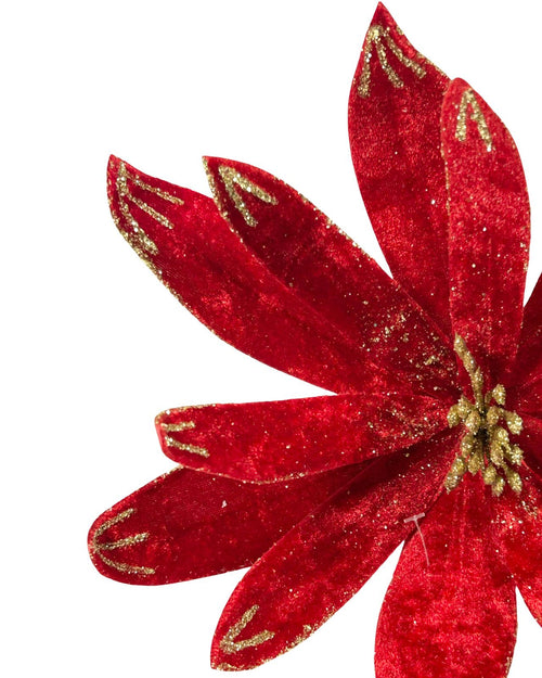 posetia roja petalos velvet 30 dm