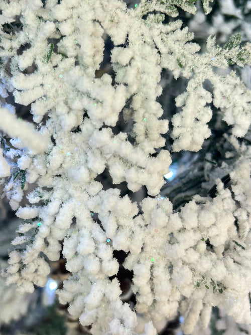 Arbol Nevado Alpes Suizos  escarchado  2.10