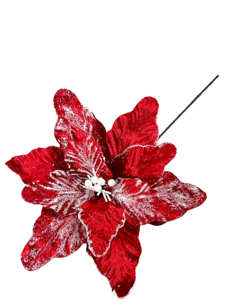 ponsetia roja snow 40 dm