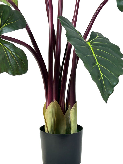 planta hojas oreja elefante grande 1.60 cm
