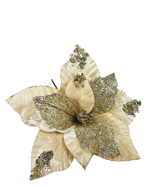ponsetia beige velvet brillos 30 dm