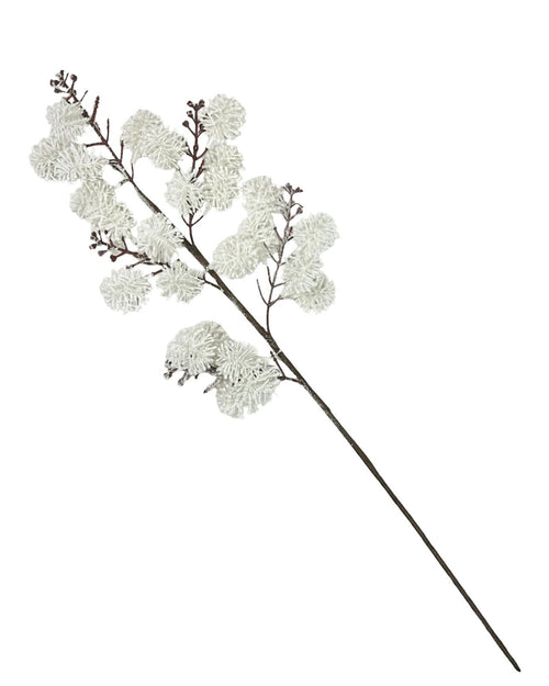vara relleno liches 60 cm