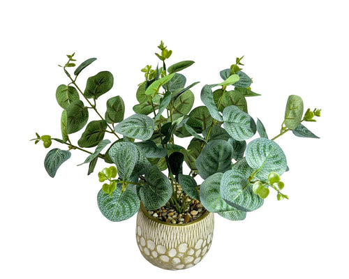 Planta mediana de eucalipto moderno 35x12cm