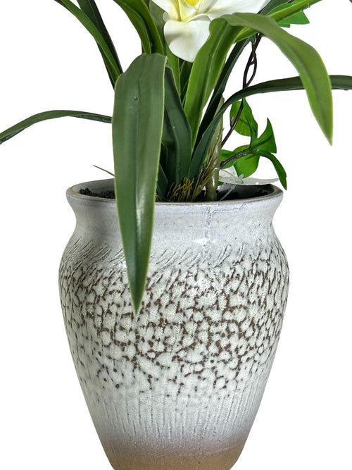 Mata mediana de orquídeas Garden 58cm