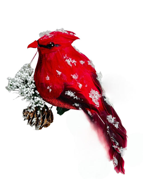 Pajaro cardinal rojo con nieve  10x12cm