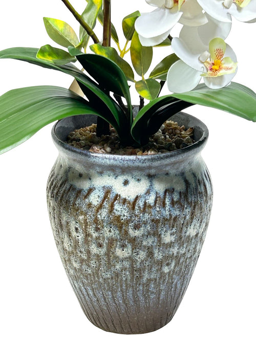 Mata de orquideas catleya 48 cm