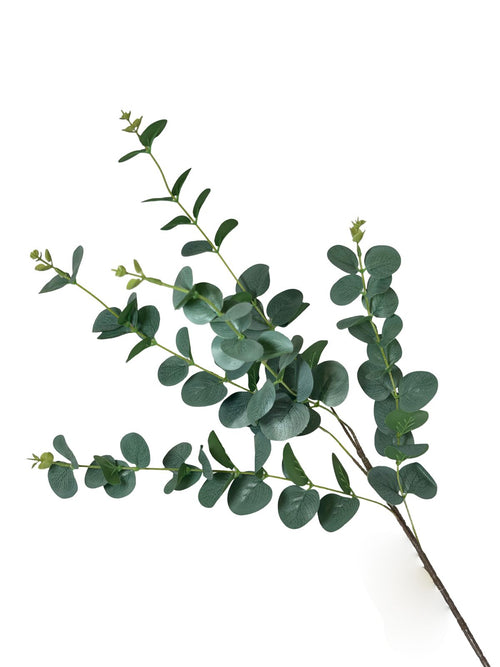 Vara tupida eucalipto verde 92 cm