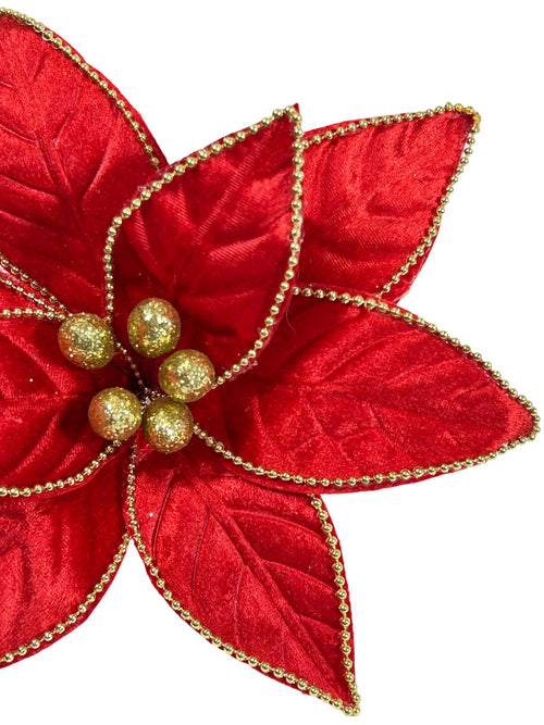ponsetia roja velvet  con dorado 28dm