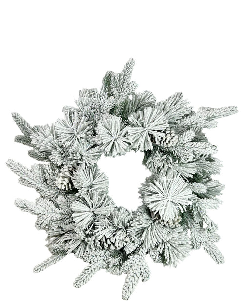 corona nevada premium 50 cm