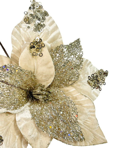 ponsetia beige velvet brillos 30 dm
