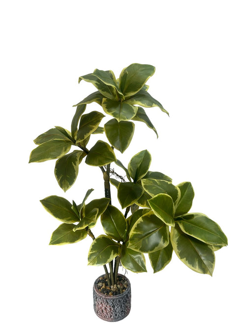 planta grande fina caucho 95cm