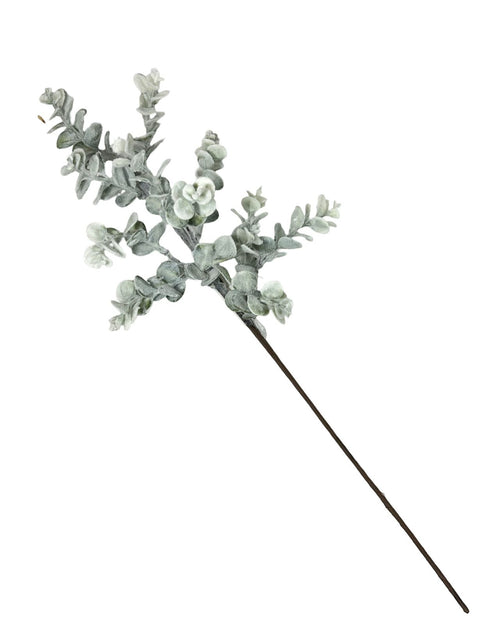 eucalipto vara snow 58 cm
