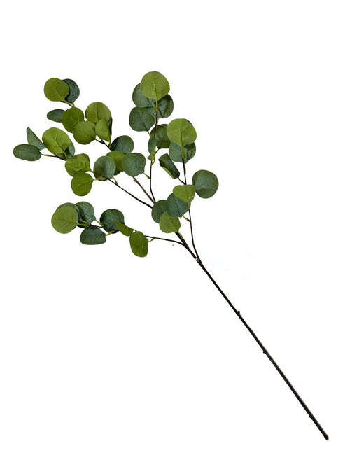 Vara tupida eucalipto verde 92 cm