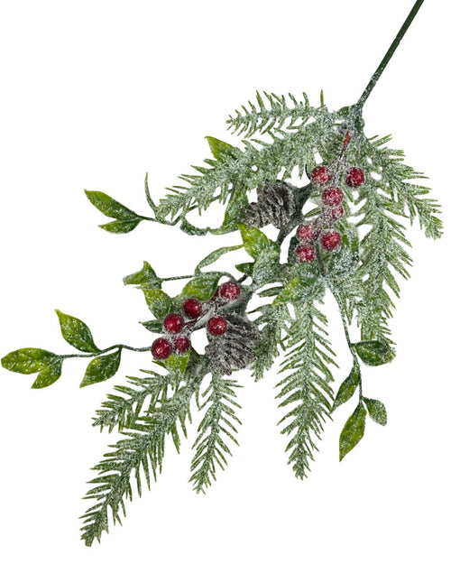 Pino ramo de berrys sugar snow 50cm