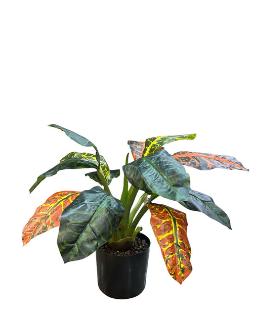 planta hoja de banana 50x30 cm