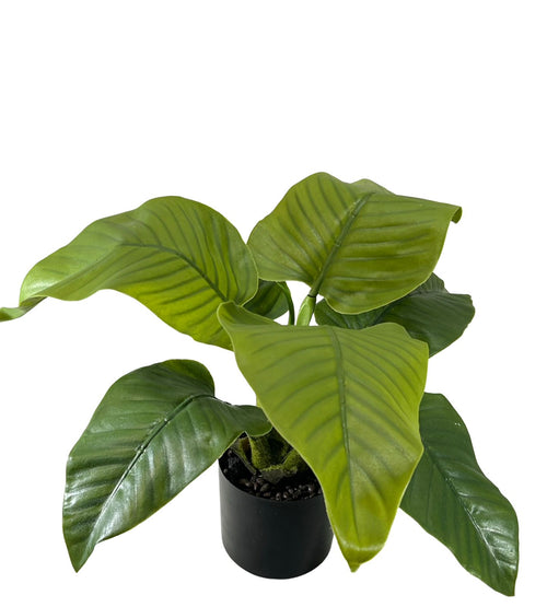 planta hoja de banana 50x30 cm