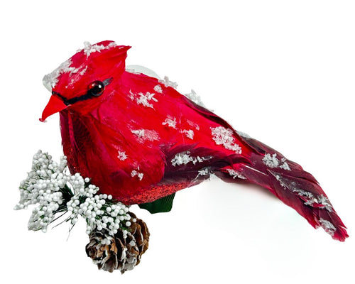 Pajaro cardinal rojo con nieve  10x12cm