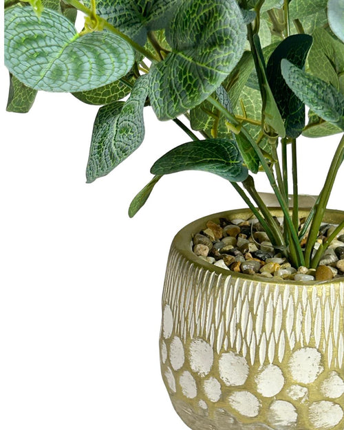 Planta mediana de eucalipto moderno 35x12cm