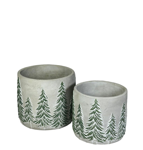 macetero ceramica pequeño arbolitos  10x10 cm