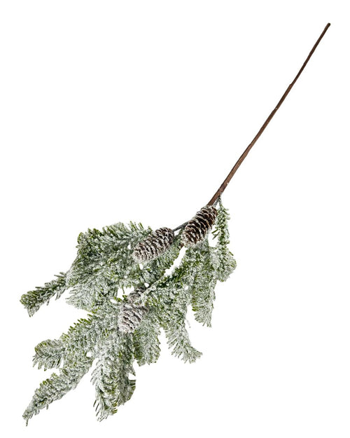 Ramo pino con piñas noruega gd 78cm