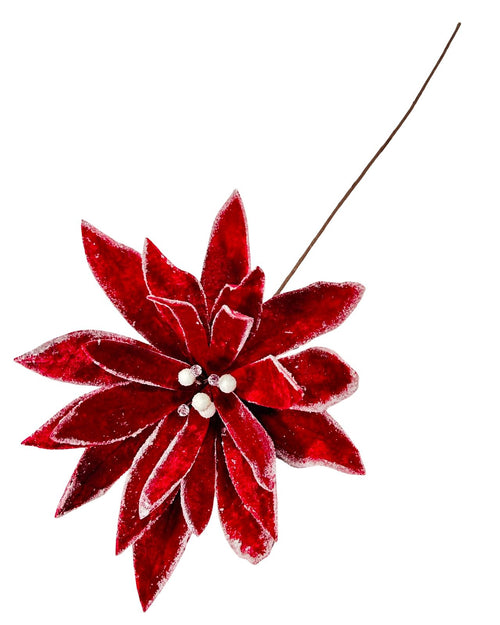 ponsetia real roja petalos 35dm