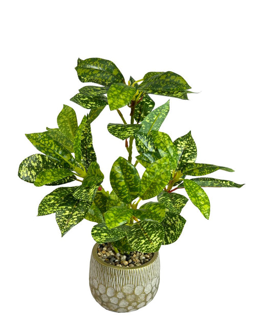 Planta verde con betas 35x12cm