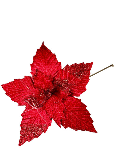 ponsetia grande roja velvet fina  35 dm