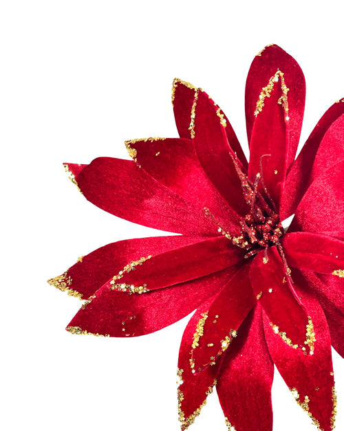 Ponsetia de navidad en gamuza color burgundy spider de 40 de diámetro