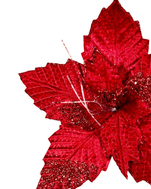 ponsetia grande roja velvet fina  35 dm