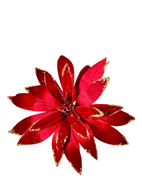 Ponsetia de navidad en gamuza color burgundy spider de 40 de diámetro