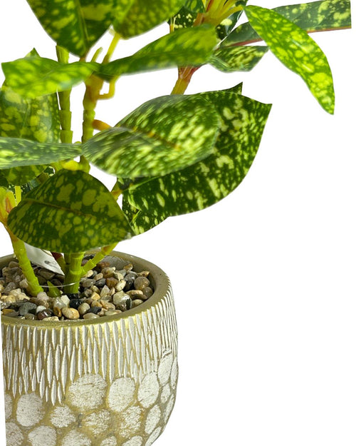 Planta verde con betas 35x12cm