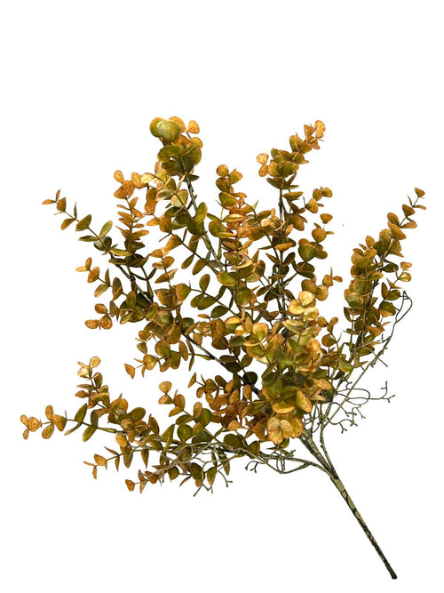 Ramito eucalipto grande raiz 55 cm
