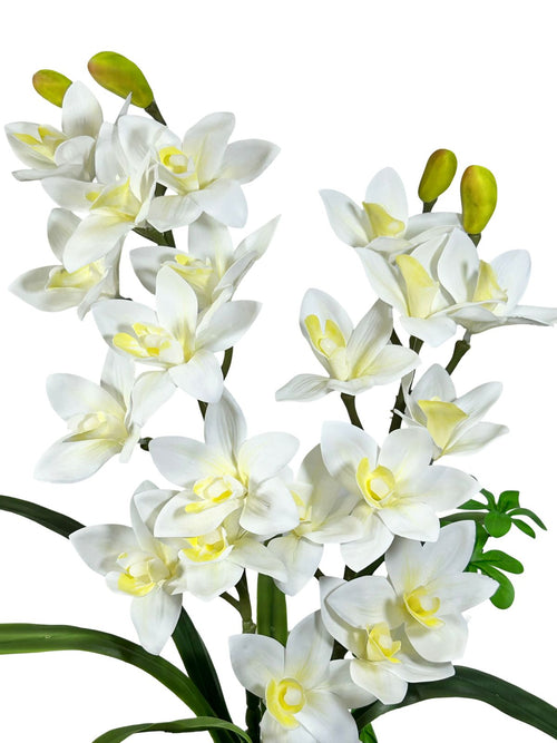 Mata mediana de orquídeas Garden 58cm