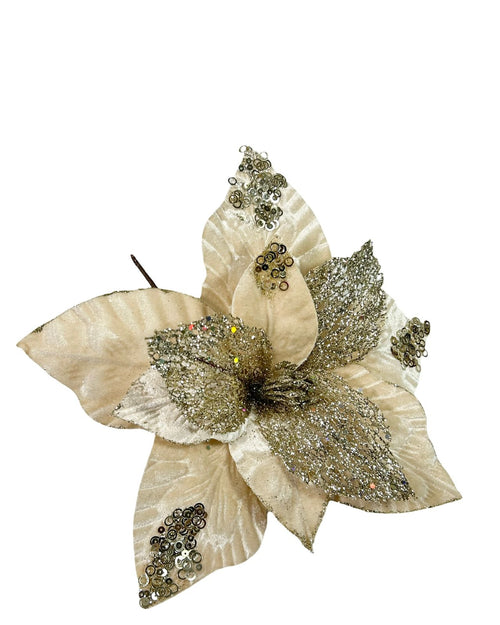 ponsetia beige velvet brillos 30 dm