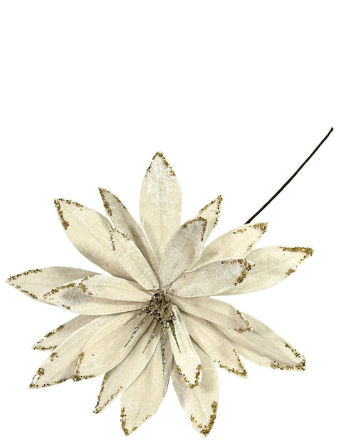 ponsetia real beige petalos 35 dm